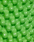 ANOTHER GREEN CACTUS®
